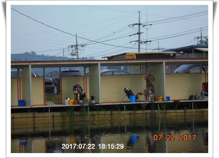 도심속의 작은 쉼터 화성 관리 낚시터입니다밤 영원하라 (유료터정보 - 유료터점주조황)