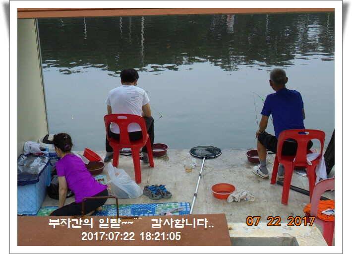 도심속의 작은 쉼터 화성 관리 낚시터입니다밤 영원하라 (유료터정보 - 유료터점주조황)