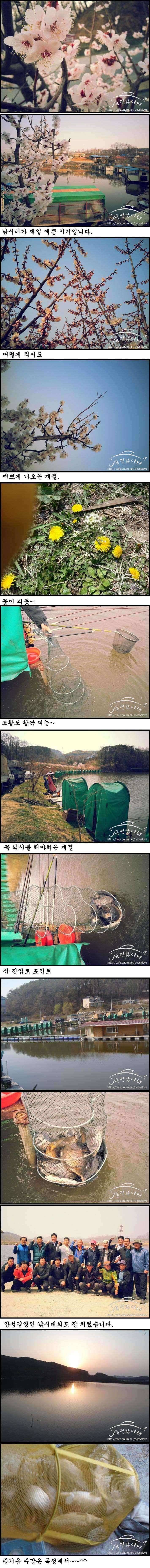 독정낚시터 가장 빛나는 계절 (유료터정보 - 유료터점주조황)
