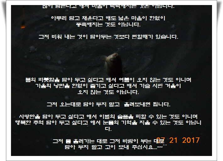 도심속의 작은 쉼터 화성 관리 낚시터입니다 (유료터정보 - 유료터점주조황)