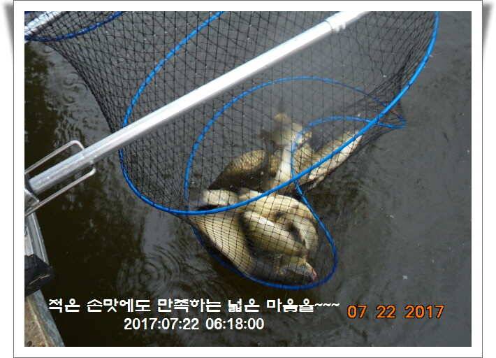 도심속의 작은 쉼터 화성 관리 낚시터입니다 (유료터정보 - 유료터점주조황)
