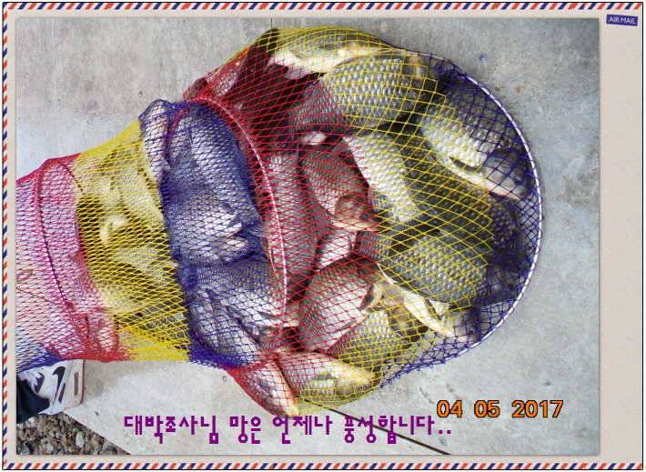 도심속의 작은 쉼터 화성 관리 낚시터입니다대박입니다 (유료터정보 - 유료터점주조황)