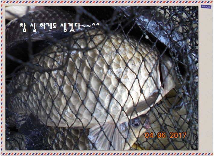 도심속의 작은 쉼터 화성 관리 낚시터입니다대박입니다 (유료터정보 - 유료터점주조황)