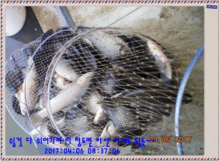 도심속의 작은 쉼터 화성 관리 낚시터입니다대박입니다 (유료터정보 - 유료터점주조황)