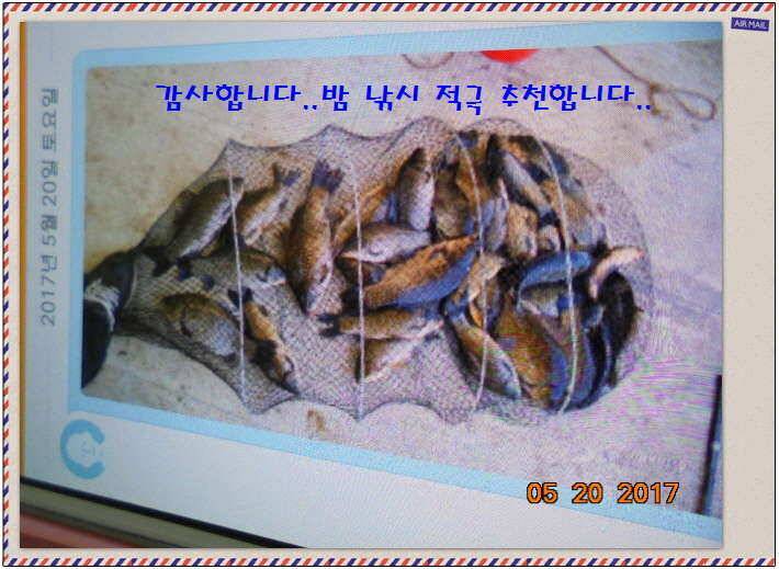 도심속의 작은 쉼터 화성 관리 낚시터입니다 (유료터정보 - 유료터점주조황)