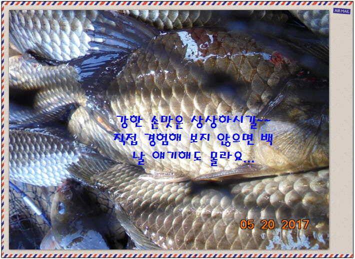 도심속의 작은 쉼터 화성 관리 낚시터입니다 (유료터정보 - 유료터점주조황)