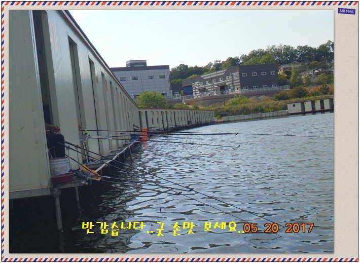 도심속의 작은 쉼터 화성 관리 낚시터입니다 (유료터정보 - 유료터점주조황)