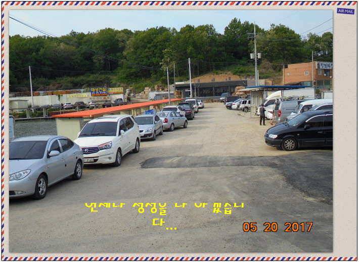 도심속의 작은 쉼터 화성 관리 낚시터입니다 (유료터정보 - 유료터점주조황)