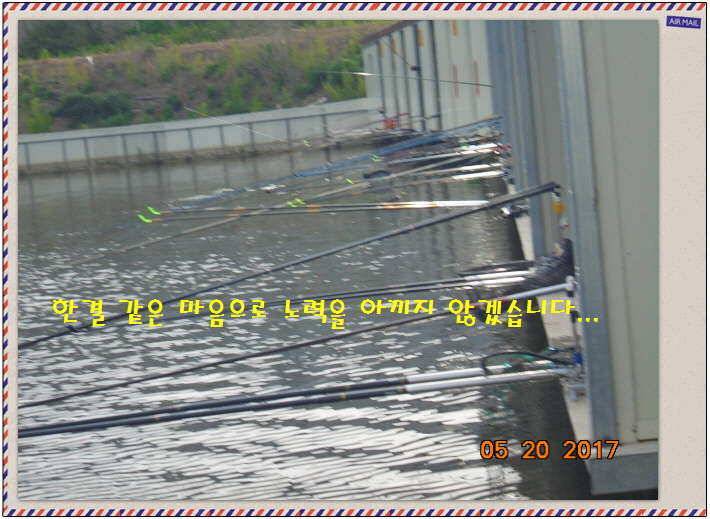 도심속의 작은 쉼터 화성 관리 낚시터입니다 (유료터정보 - 유료터점주조황)