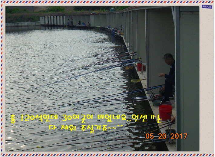 도심속의 작은 쉼터 화성 관리 낚시터입니다 (유료터정보 - 유료터점주조황)