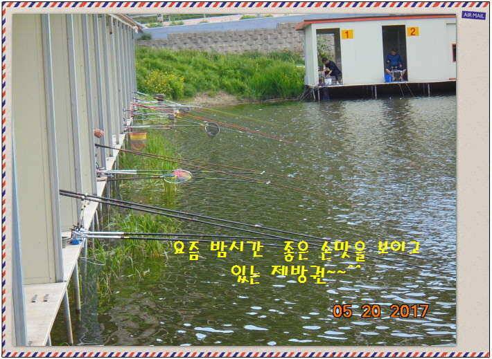 도심속의 작은 쉼터 화성 관리 낚시터입니다 (유료터정보 - 유료터점주조황)