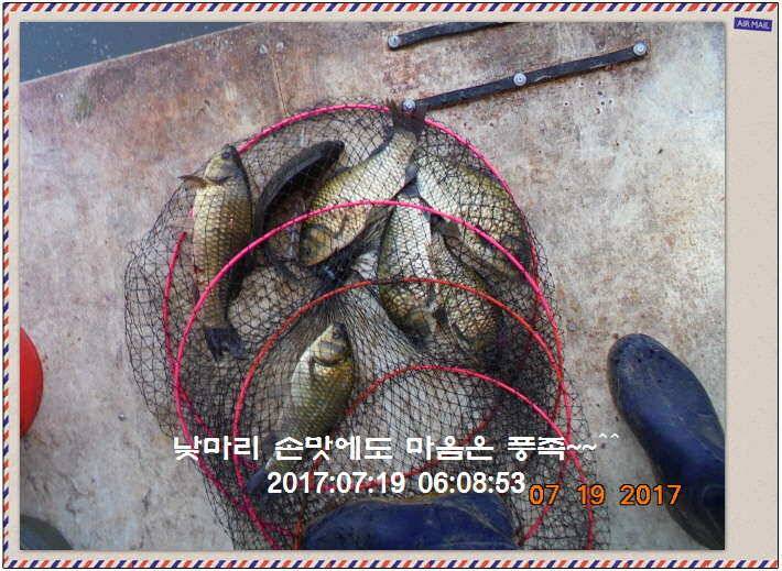 도심속의 작은 쉼터 화성 관리 낚시터입니다 (유료터정보 - 유료터점주조황)