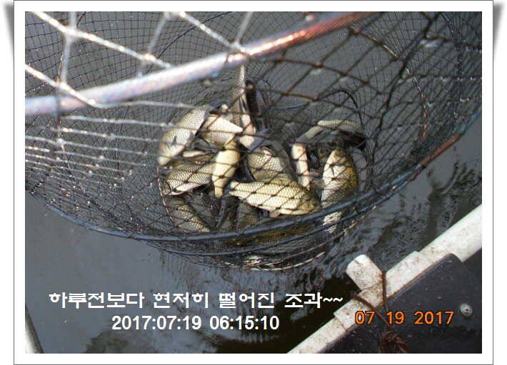 도심속의 작은 쉼터 화성 관리 낚시터입니다 (유료터정보 - 유료터점주조황)