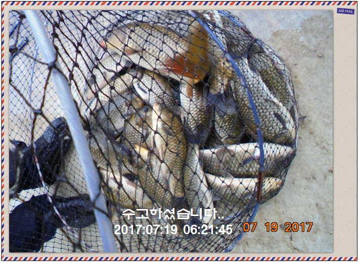 도심속의 작은 쉼터 화성 관리 낚시터입니다 (유료터정보 - 유료터점주조황)