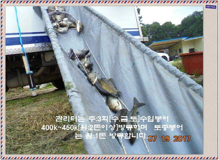 도심속의 작은 쉼터 화성 관리 낚시터입니다 (유료터정보 - 유료터점주조황)