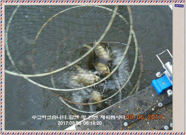 도심속의 작은 쉼터 화성 관리 낚시터입니다좋았다흐렸다 (유료터정보 - 유료터점주조황)