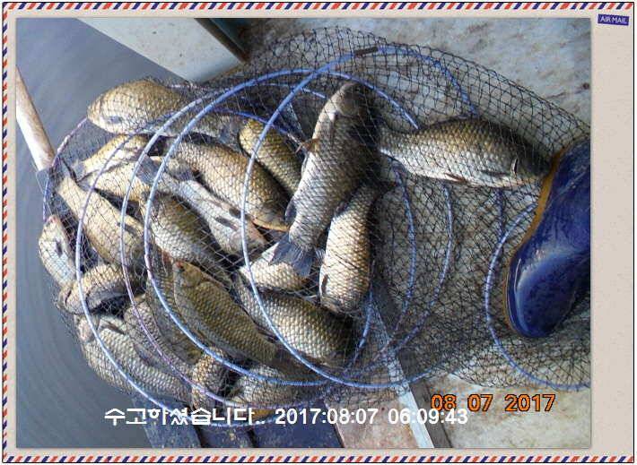 도심속의 작은 쉼터 화성 관리 낚시터입니다좋았다흐렸다 (유료터정보 - 유료터점주조황)