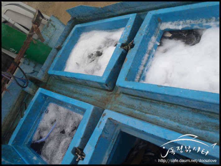 독정낚시터 산란과 대량방류 (유료터정보 - 유료터점주조황)