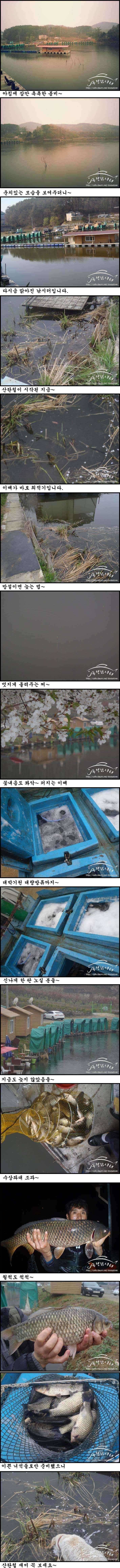 독정낚시터 산란과 대량방류 (유료터정보 - 유료터점주조황)