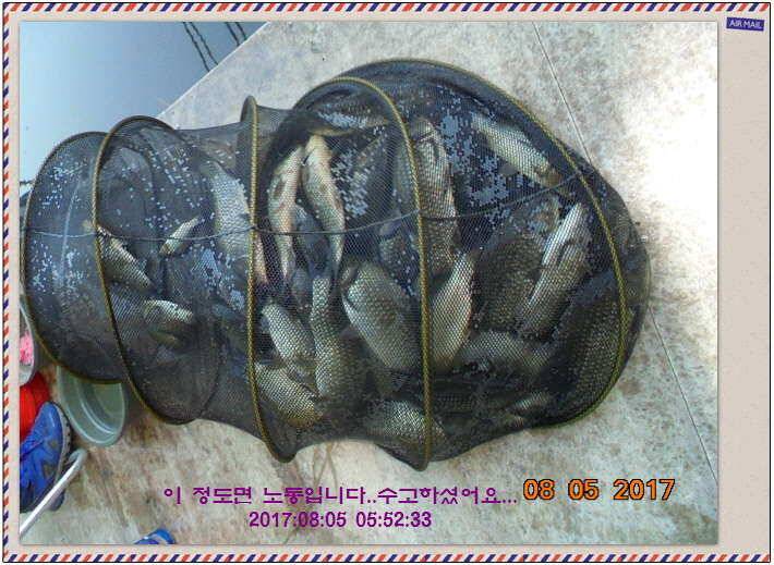 도심속의 작은 쉼터 화성 관리 낚시터입니다관리의 밤은 (유료터정보 - 유료터점주조황)