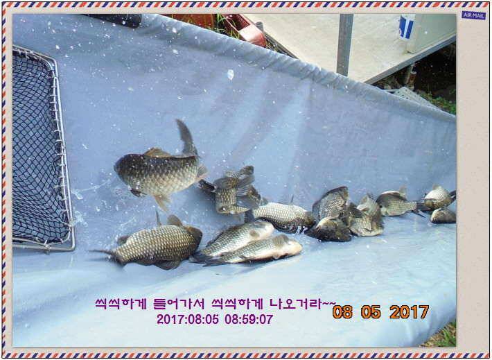 도심속의 작은 쉼터 화성 관리 낚시터입니다밤이 좋아라 (유료터정보 - 유료터점주조황)