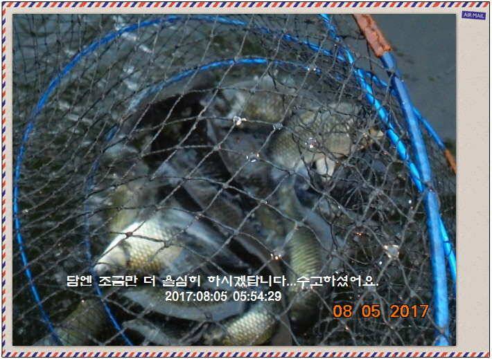 도심속의 작은 쉼터 화성 관리 낚시터입니다관리의 밤은 (유료터정보 - 유료터점주조황)