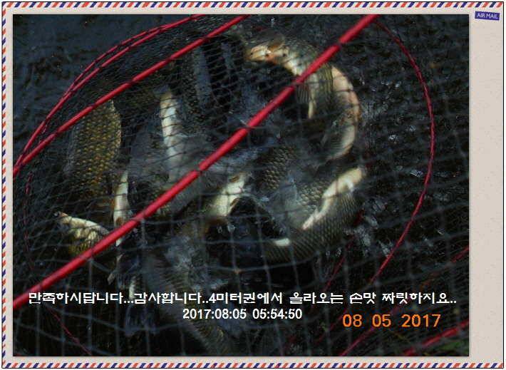도심속의 작은 쉼터 화성 관리 낚시터입니다관리의 밤은 (유료터정보 - 유료터점주조황)