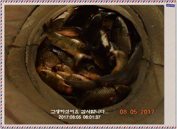 도심속의 작은 쉼터 화성 관리 낚시터입니다관리의 밤은 (유료터정보 - 유료터점주조황)