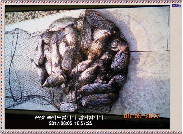 도심속의 작은 쉼터 화성 관리 낚시터입니다밤이 좋아라 (유료터정보 - 유료터점주조황)