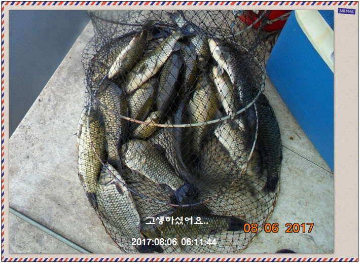 도심속의 작은 쉼터 화성 관리 낚시터입니다밤이 좋아라 (유료터정보 - 유료터점주조황)