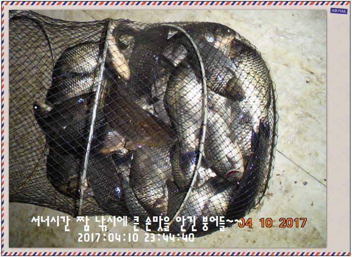 도심속의 작은 쉼터 화성 관리 낚시터입니다 (유료터정보 - 유료터점주조황)