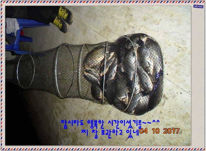 도심속의 작은 쉼터 화성 관리 낚시터입니다 (유료터정보 - 유료터점주조황)