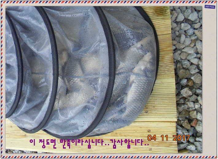 도심속의 작은 쉼터 화성 관리 낚시터입니다 (유료터정보 - 유료터점주조황)
