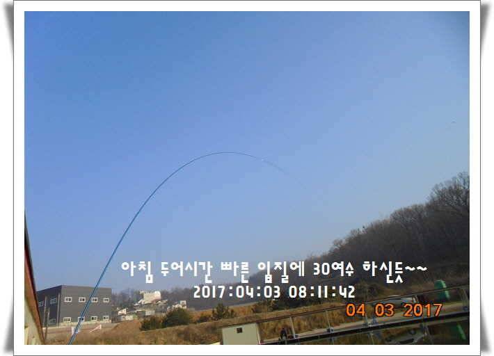 도심속의 작은 쉼터 화성 관리 낚시터입니다 (유료터정보 - 유료터점주조황)