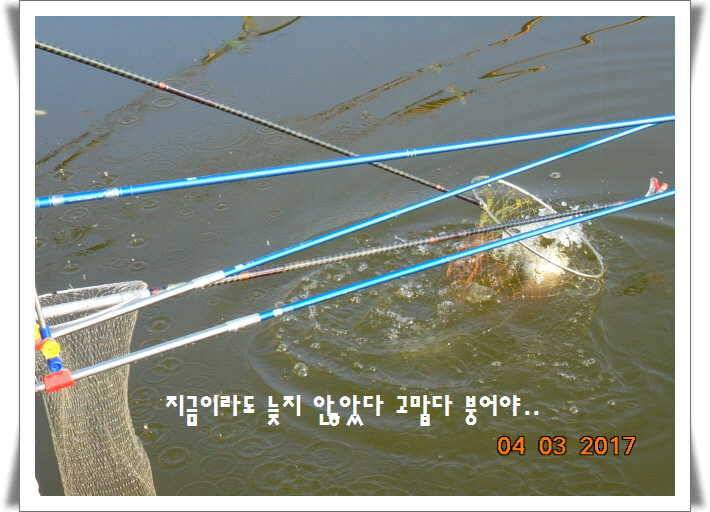 도심속의 작은 쉼터 화성 관리 낚시터입니다 (유료터정보 - 유료터점주조황)