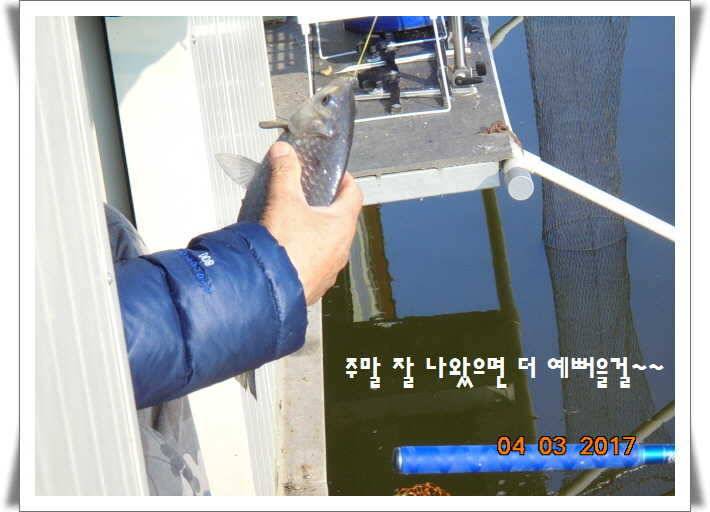 도심속의 작은 쉼터 화성 관리 낚시터입니다 (유료터정보 - 유료터점주조황)