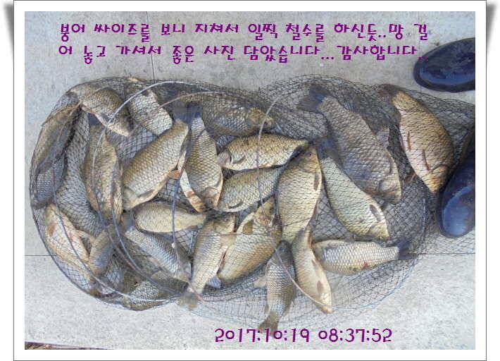 도심속의 작은 쉼터 화성 관리 낚시터입니다밤의 열정속으로 (유료터정보 - 유료터점주조황)