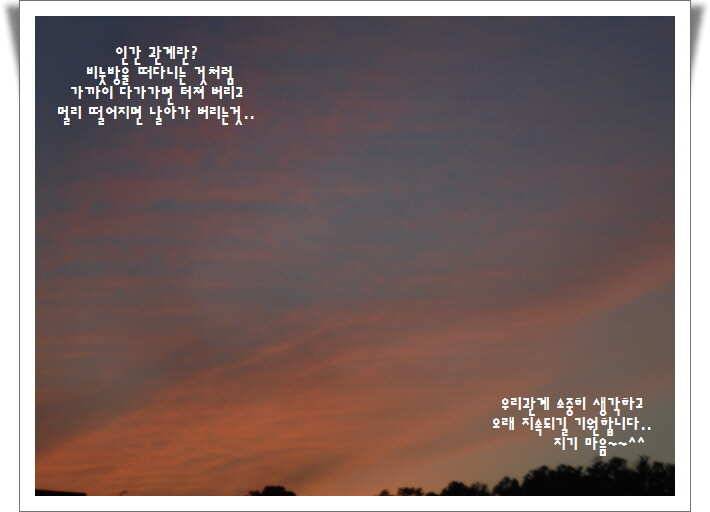 도심속의 작은 쉼터 화성 관리낚시터입니다조황 사진 올립니다 (유료터정보 - 유료터점주조황)