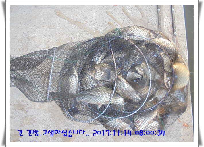 도심속의 작은 쉼터 화성 관리 낚시터입니다공지 소식안녕들 하셨습니까 (유료터정보 - 유료터점주조황)