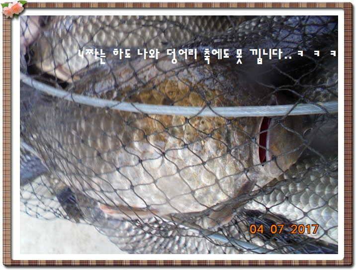 도심속의 작은 쉼터 화성 관리 낚시터입니다급전달 사항 (유료터정보 - 유료터점주조황)