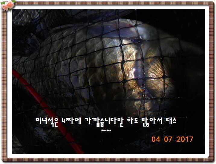 도심속의 작은 쉼터 화성 관리 낚시터입니다급전달 사항 (유료터정보 - 유료터점주조황)