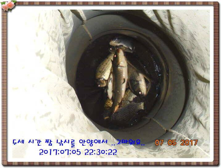 도심속의 작은 쉼터 화성 관리 낚시터입니다성원에 감사드립니다 (유료터정보 - 유료터점주조황)