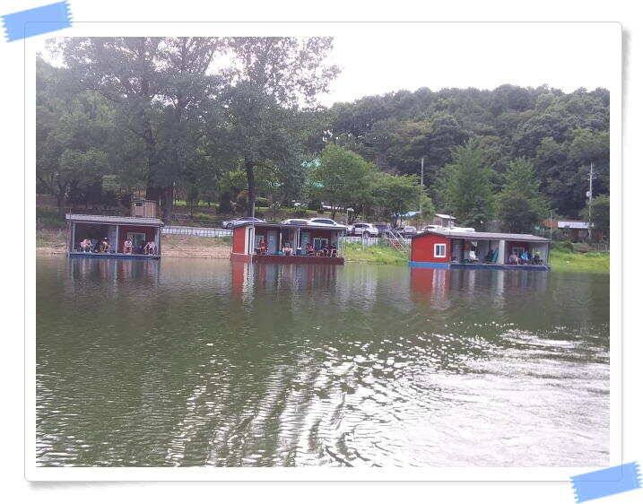 민물낚시 힐링 양평 수곡낚시터 호조황속 대박조황이 나와주네요 오늘도 붕어방류 완료했습니다 (유료터정보 - 유료터점주조황)