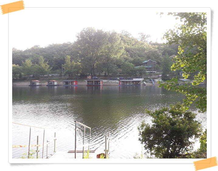 수곡낚시터 붕어낚시 조황 꾸준하게 나와줍니다 6월18일 조황 안내드립니다 (유료터정보 - 유료터점주조황)
