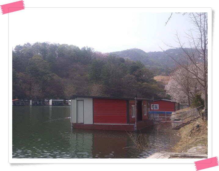 수곡낚시터 금요일토요일 조황 및 붕어 방류 (유료터정보 - 유료터점주조황)