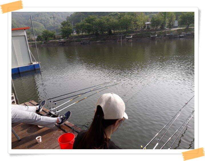 수곡낚시터 붕어낚시 주중5월9일조황 더 좋습니다 금일 붕어 대량방류 예정 (유료터정보 - 유료터점주조황)