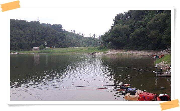 양평 붕어낚시 수곡낚시터 오늘도 꾸준히 붕어들이 나와주며 오늘도 붕어 대량 방류 마쳤습니다 (유료터정보 - 유료터점주조황)