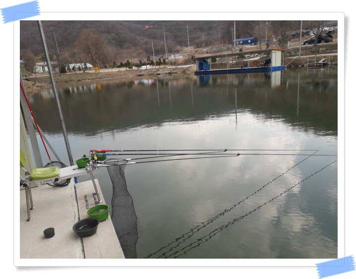 수곡낚시터 주중 붕어 조황 안내 3월 29일금 (유료터정보 - 유료터점주조황)