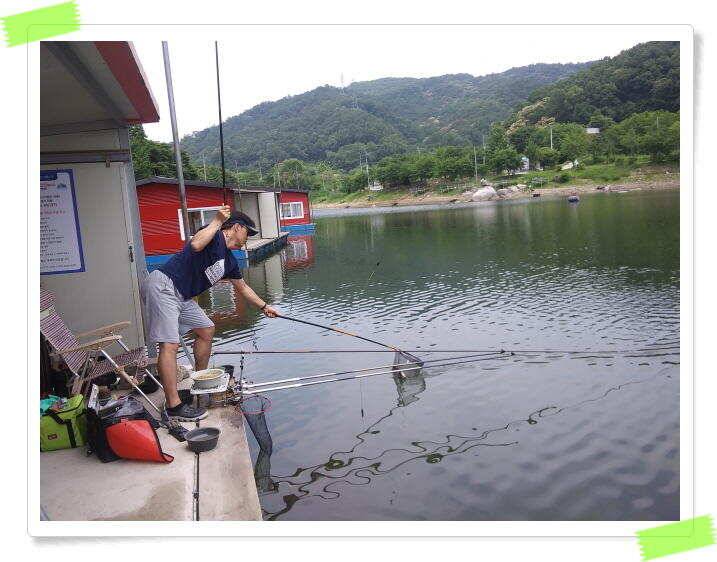 양평 수곡낚시터 오늘도 오전부터 붕어들이 계속나오면서 꾸준한 조황이 이어집니다 (유료터정보 - 유료터점주조황)