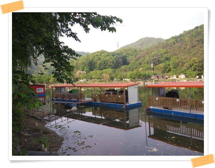 수곡낚시터 주말 및 일요일 조황 안내 (유료터정보 - 유료터점주조황)